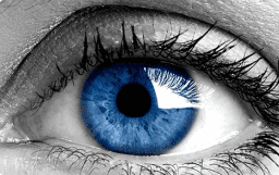 Eye